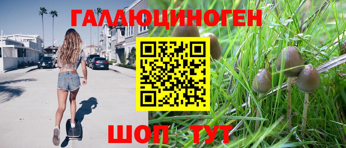 Псилоцибиновые грибы Psilocybine cubensis Чебаркуль